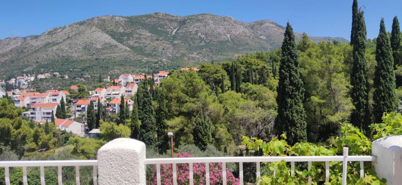 Villa Kipre Cavtat Δωμάτιο φωτογραφία